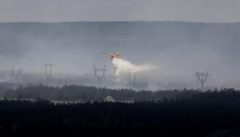 Canada Leases 10 New Firefighting Aircraft for 2026 Wildfire Season