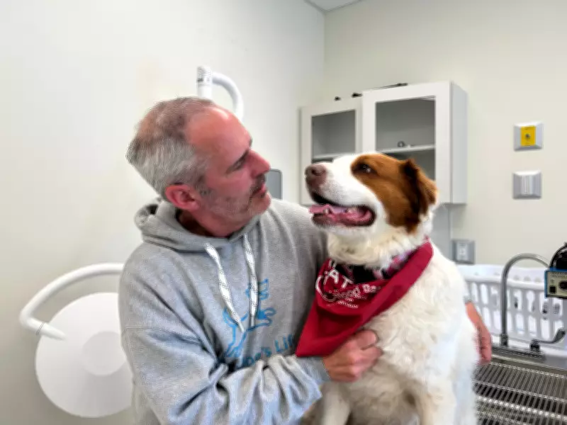 Canadian Animal Blood Bank in Nova Scotia Calls for Dog Donors