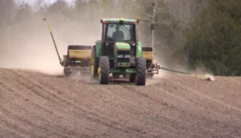 Canadian Farmers Brace for Most Expensive Planting Season Ever