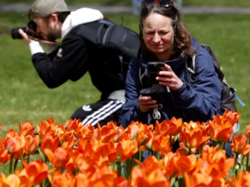 Canadian Tulip Festival 2026: Dates, Events, and What to Know