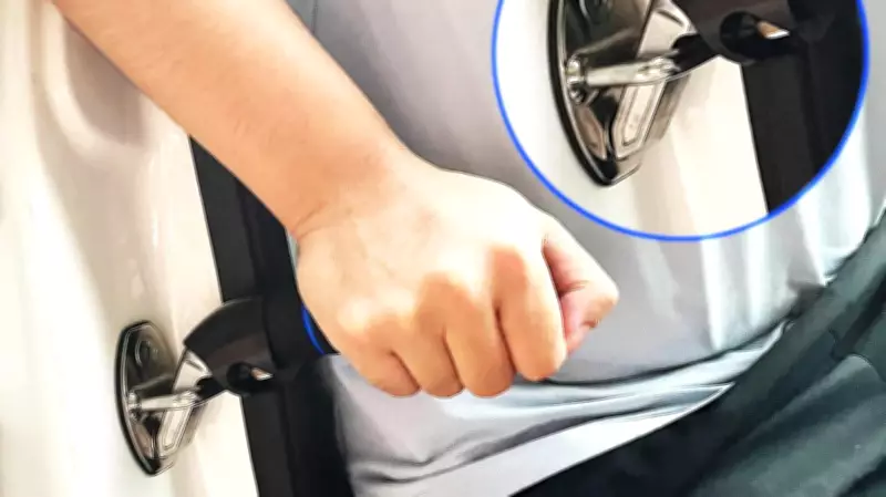 Car Assist Handle Makes Getting In and Out Easier and Safer