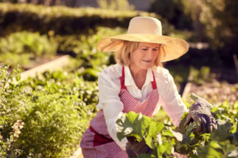 City Gardener: Gardening Safety Tips to Avoid Injuries and Stay Safe
