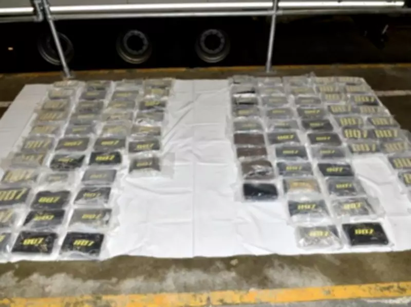 Cocaine Found in SKIMS Shipment: Driver Sentenced to 13.5 Years