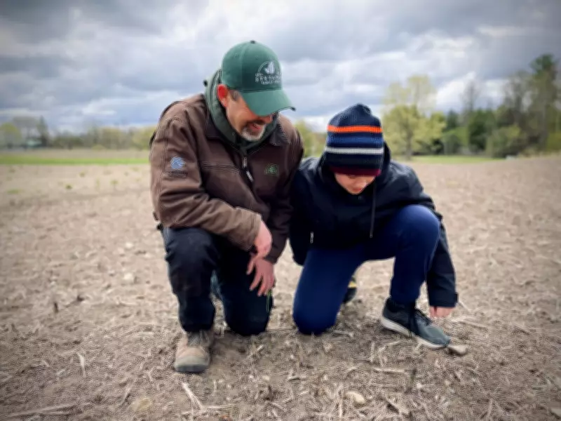 Cold snap and spring rain delay planting for Waterloo Region farmers