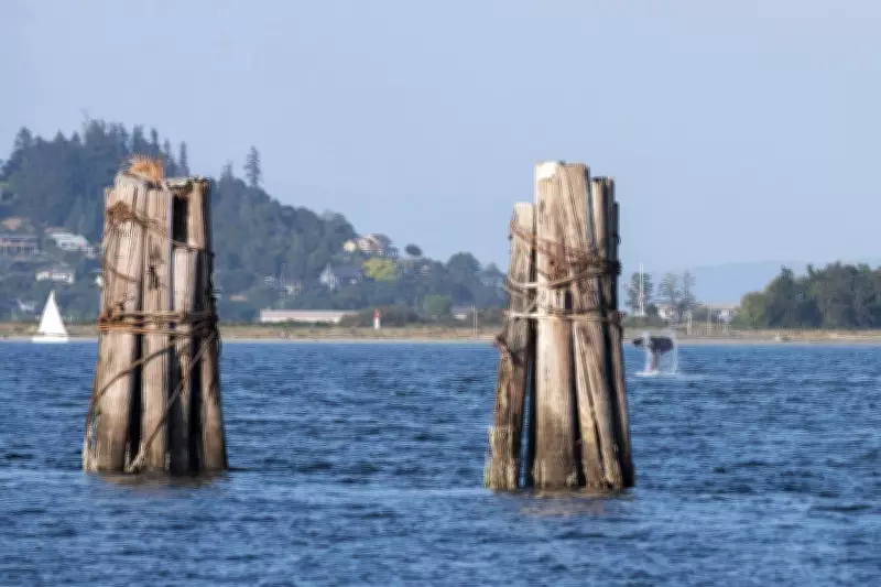 Comox Valley Issues Sewer Use Warning Due to Ongoing Emergency