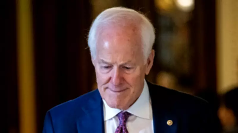 Cornyn Renames Highway After Trump in Apparent Endorsement Bid