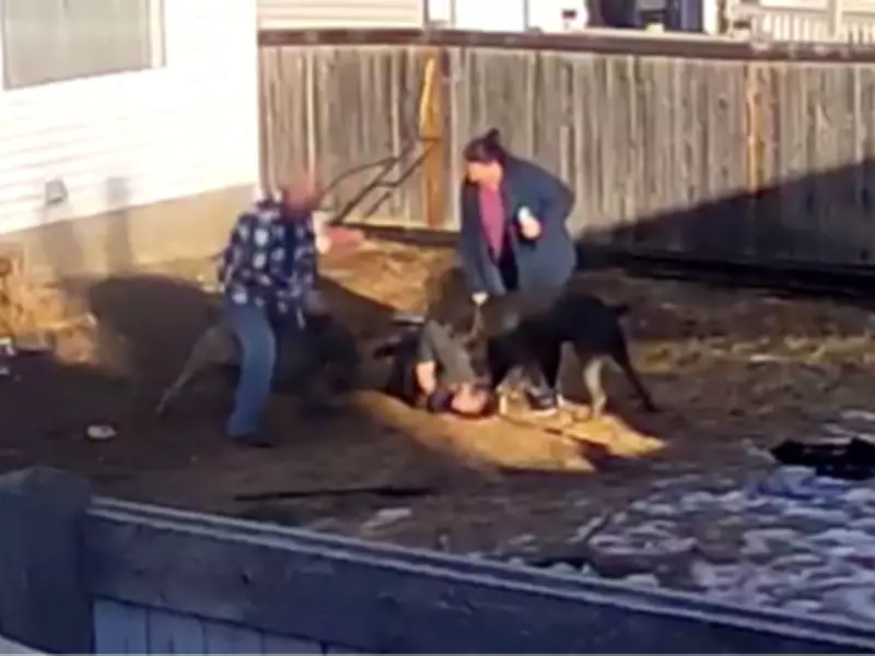 Crown: Edmonton woman's inaction led to boy's fatal dog mauling