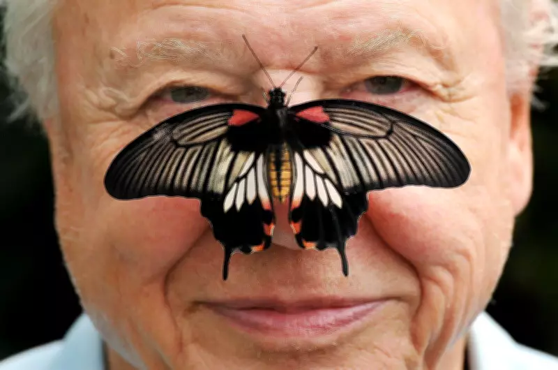 David Attenborough, Voice of Nature, Celebrates 100th Birthday