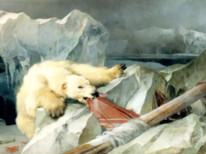 DNA Analysis Reveals New Insights into Franklin Expedition's Tragic Fate