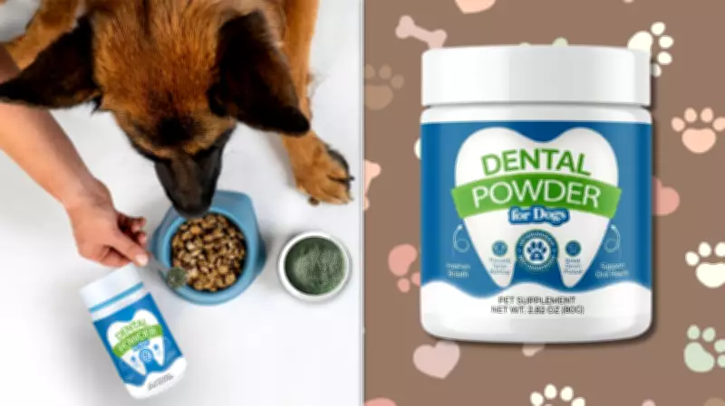 Dog Dental Powder on Sale: Freshen Breath, Improve Health