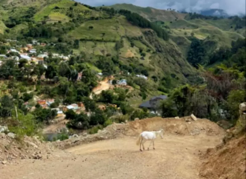 Dominican Republic protests halt Canadian gold mining project