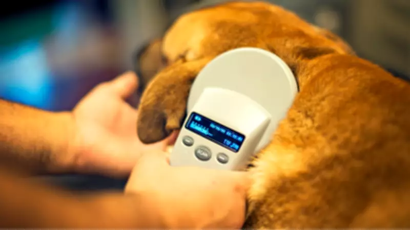 Drive-Thru Microchip Clinic Returns for Pets in Windsor-Essex
