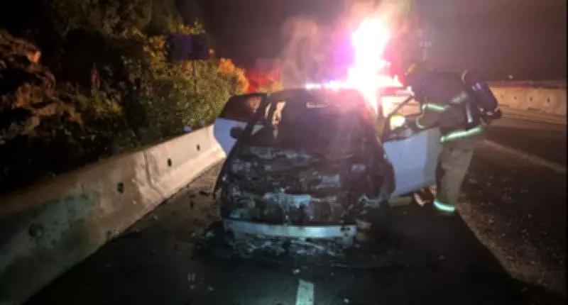 Driver of burning car arrested for public intoxication in B.C.'s Fraser Valley