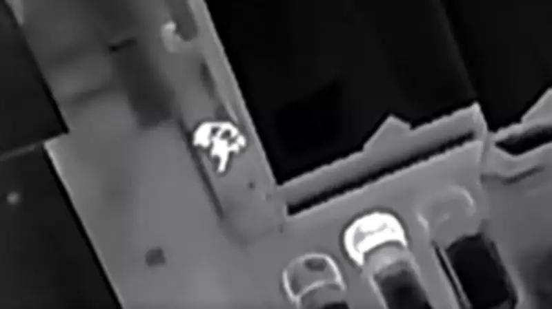 Drone Video Shows Suspect Hiding from Police in Pickering Before Arrest