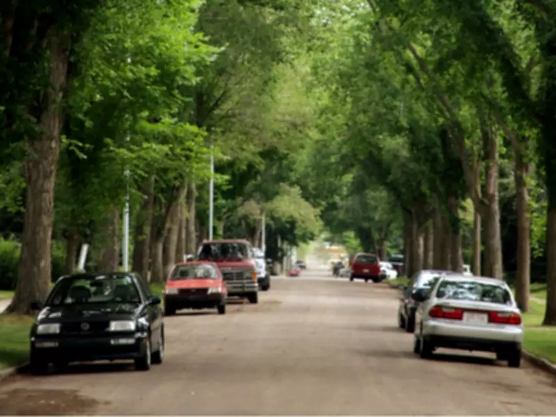Edmonton mandates tree planting for infill, developers push back