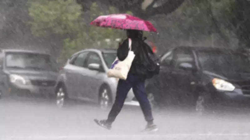 El Niño Spring Could Bring Rain and Frost to Central Ontario