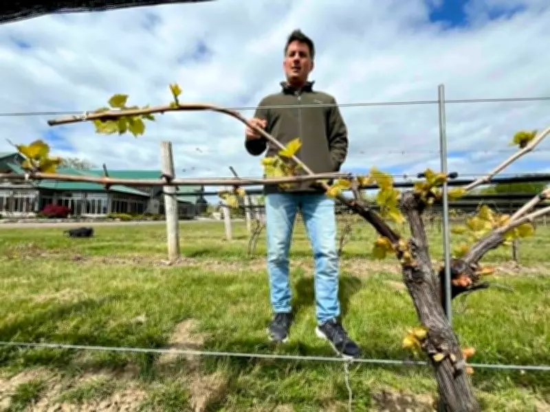 Essex County Winery Decries Interprovincial Trade Barriers Limiting Canadian Wine Sales