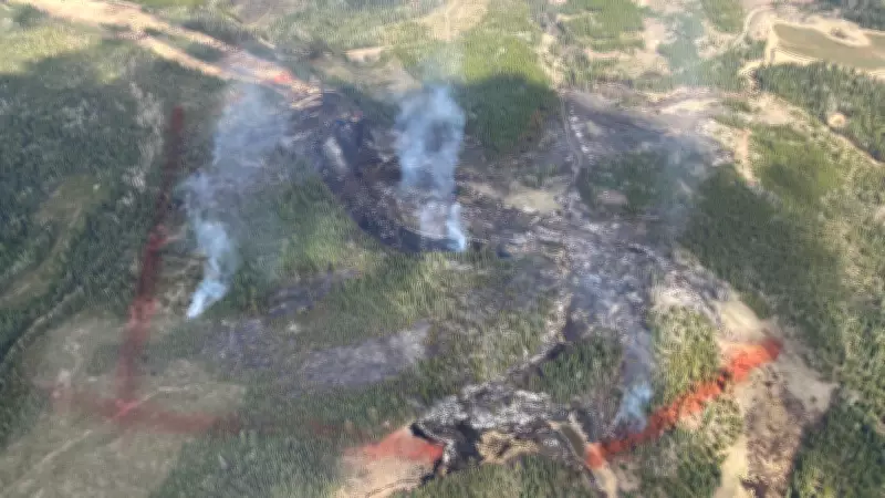 Evacuation Alert Issued in Cariboo as Webster Creek Wildfire Grows