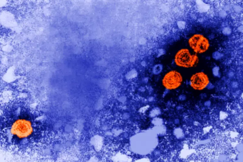 Experimental Hepatitis B Drug Shows Promise for 'Functional Cure'