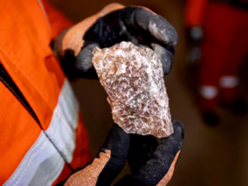 Family Offices Flock to Potash Miner After 900% Stock Surge