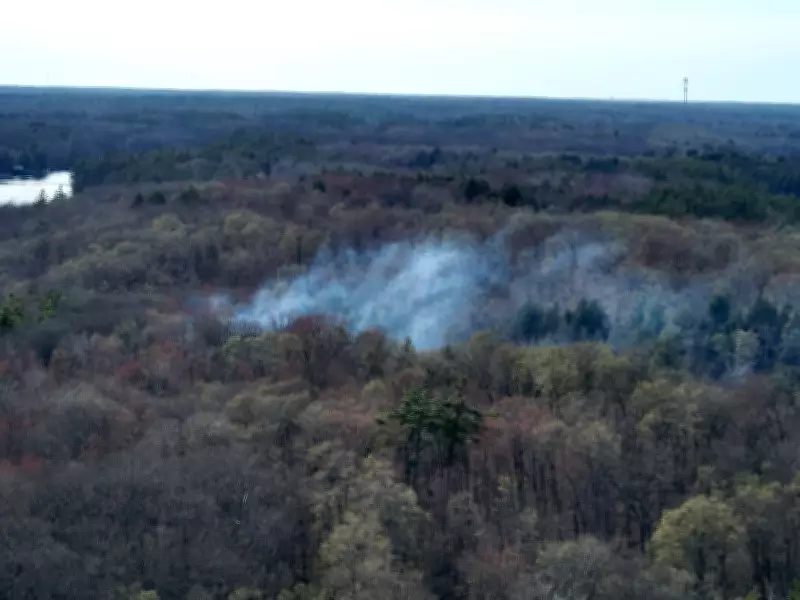 Fast-Moving Wildfire Erupts on Bala Park Island in Muskoka, Ontario