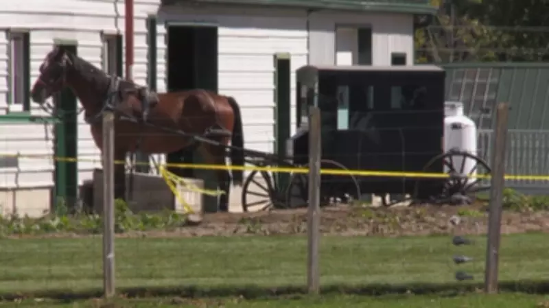 Father Who Killed Son with Axe May Return to Mennonite Community