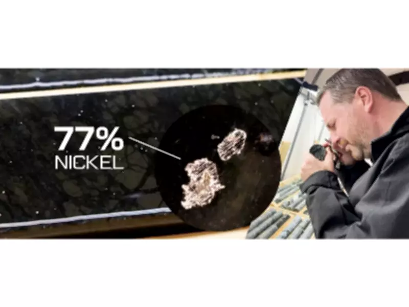 First Atlantic Nickel Reports 77.62% Nickel in Awaruite at RPM Zone