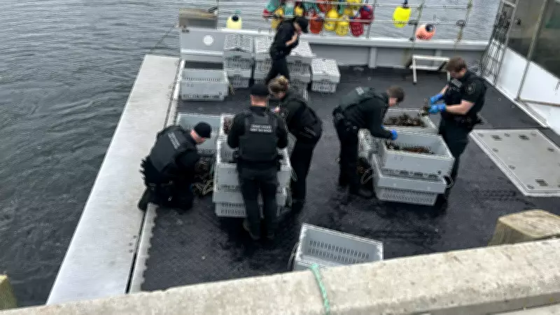 Fishery Officers Seize Over 1,000 Lbs of Lobster in Port la Tour, N.S.