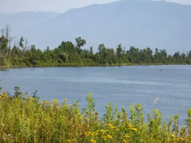 Flood Warnings and Evacuation Alerts Issued for B.C.'s Southern Interior
