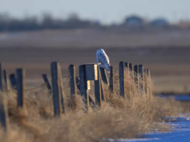 Foothill County Landowners Celebrate Denial of Battery Storage Project Near Frank Lake