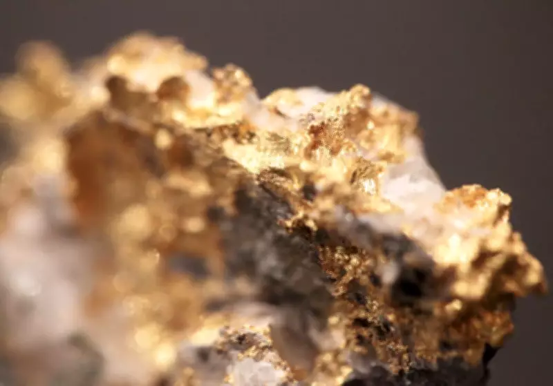 Former Mining CEO Charged with Fraud Over Gold Estimates in Northern Ontario