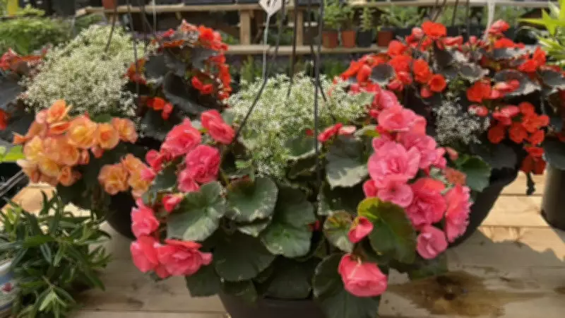 Fredericton Botanic Garden Spring Plant Sale This Weekend