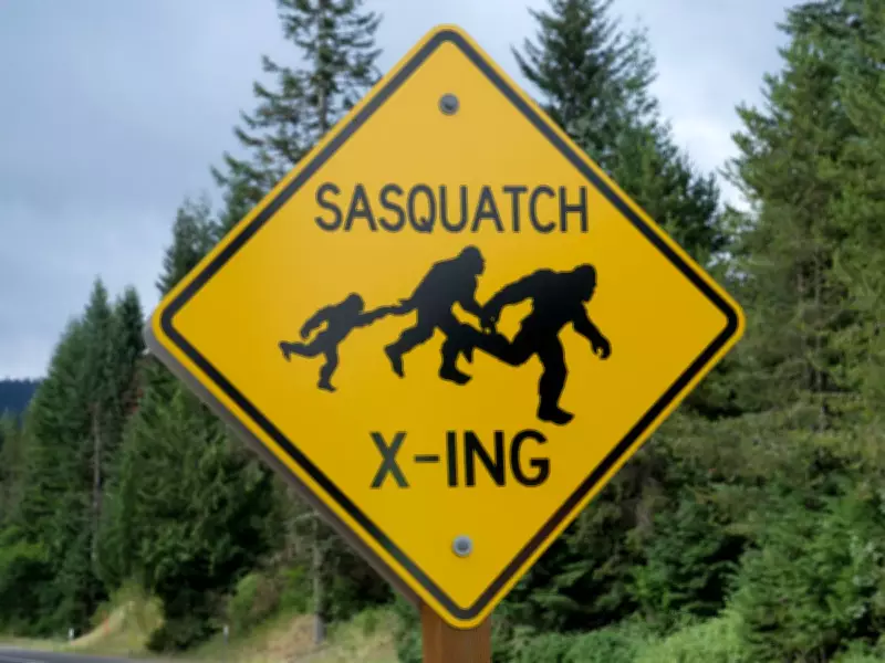From Monkeys to Bigfoot: Bizarre Securities Where Billions Vanished