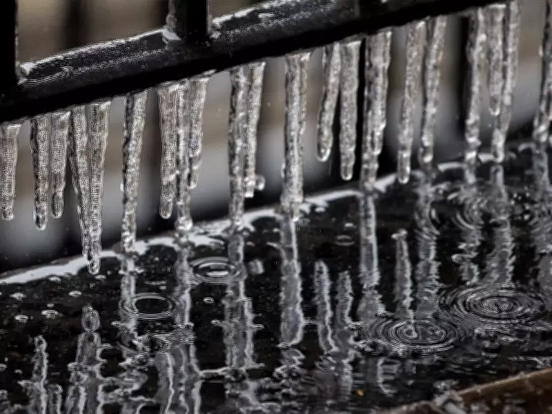 Frost Advisories Issued for Parts of GTA and Southern Ontario on May 11