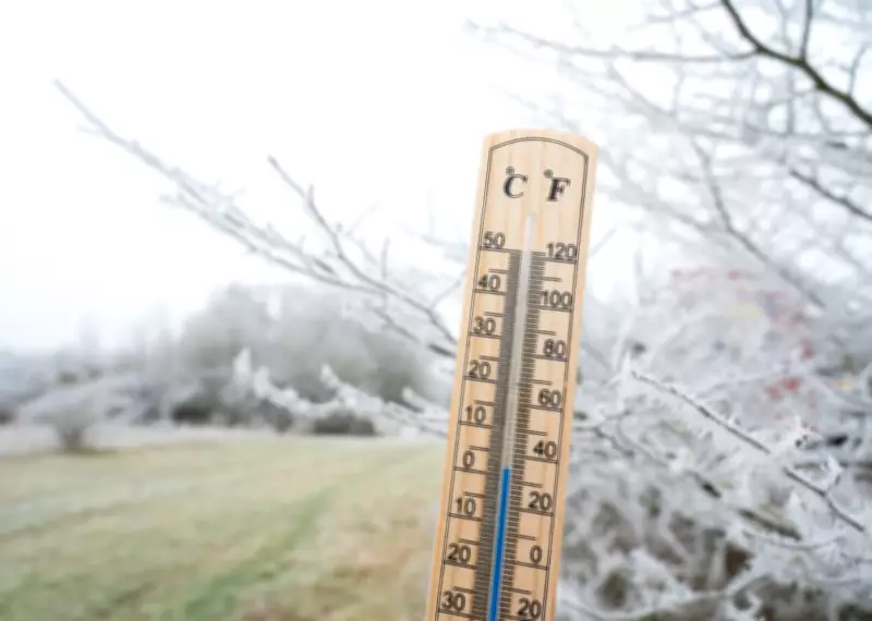 Frost Advisory for Southern Ontario as Temperatures Near Freezing