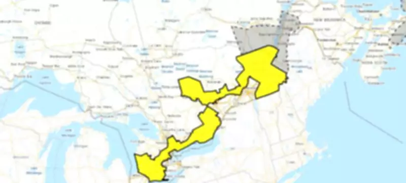 Frost Advisory Issued for Parts of GTA Tonight: How Cold It Could Get