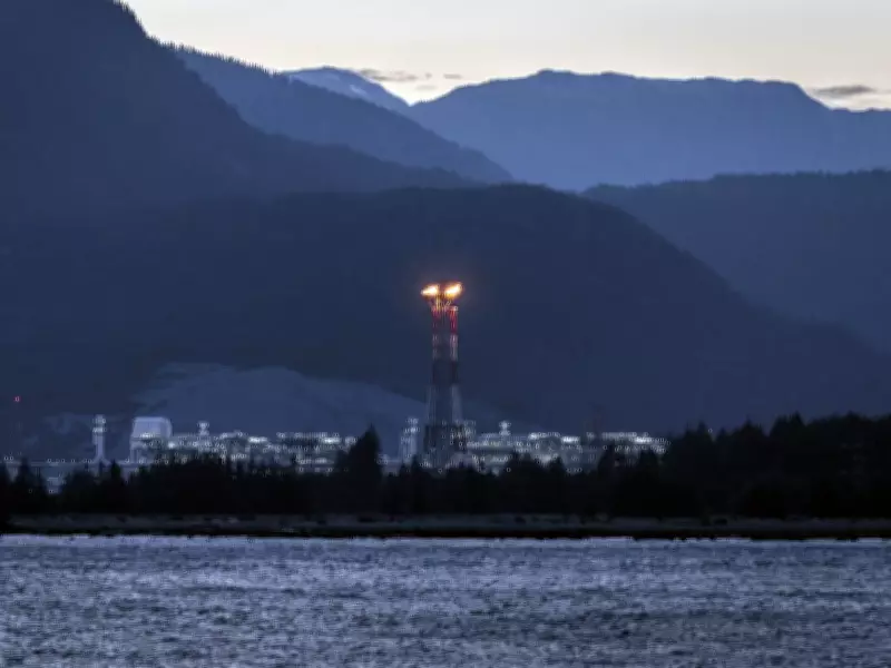 Germany and Canada to Sign Major LNG Deal for Energy Security