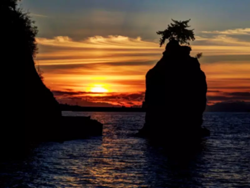 Grey Whale Struck by Jet Ski Near Vancouver's Siwash Rock