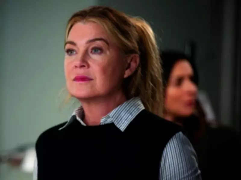 Grey's Anatomy Spinoff Heads to Texas: New Show Ordered by ABC