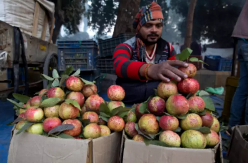 Guava Juice May Lower Anemia Risk in Women, Study Finds