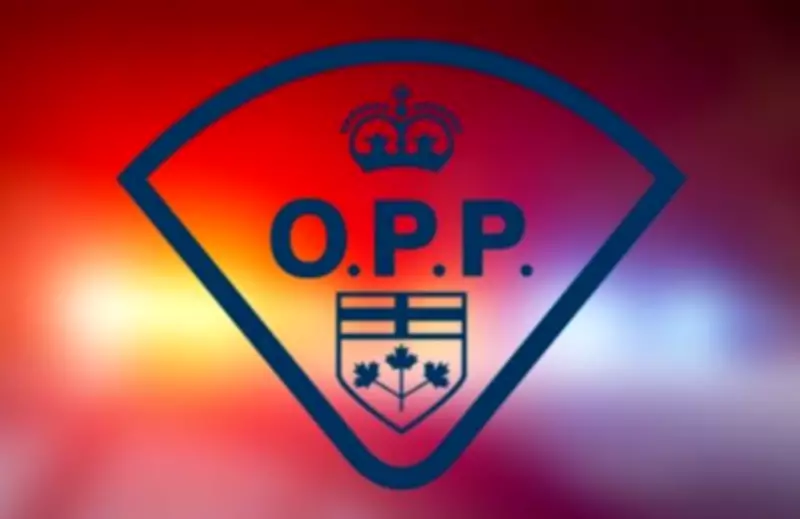 Gun, Cocaine and Impaired Charges After Erratic Drive on Hwy 12 in Midland