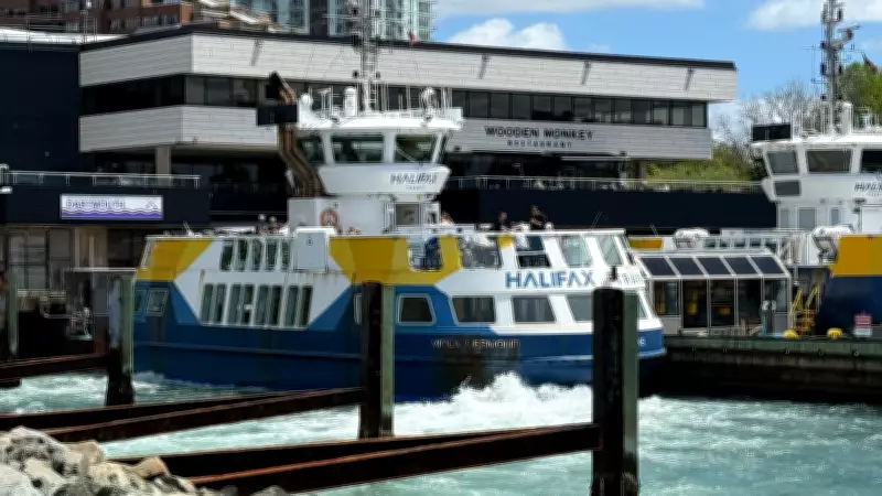Halifax council rejects free ferry service as 'goodwill' gesture amid disruptions