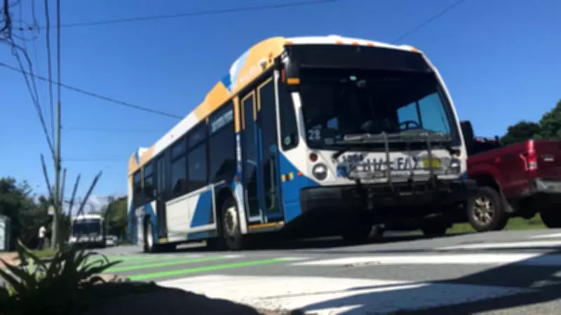 Halifax Transit Route Changes Due to Bayers Road Construction to Last Two Years