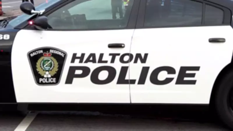 Halton police's Project Cyprus leads to largest firearms bust in history