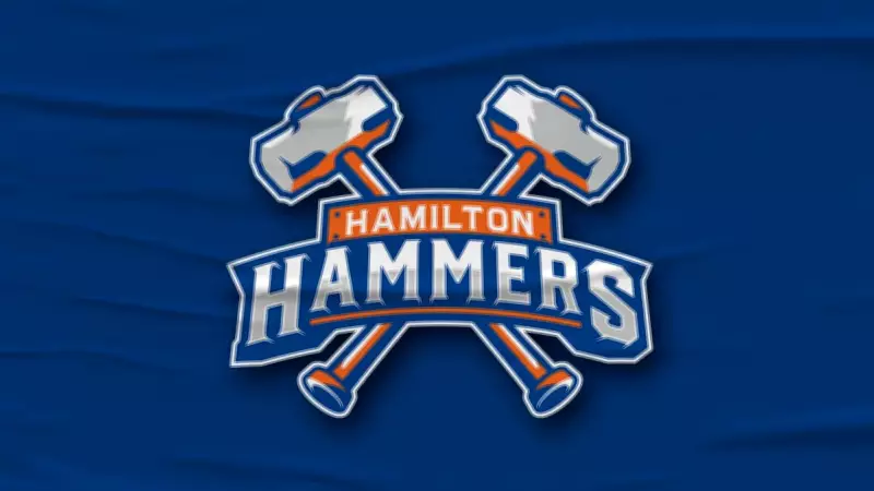 Hamilton Hammers: Canada's Newest AHL Team Unveiled