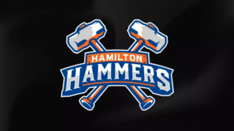 Hamilton Hammers: New AHL Team Name Gives Steel City Identity