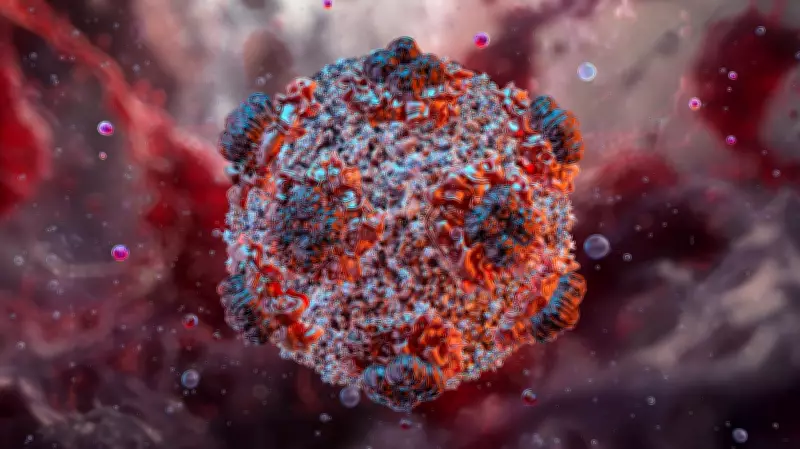 Hantavirus Outbreak Sparks Misinformation: Experts Urge Calm and Trust in WHO