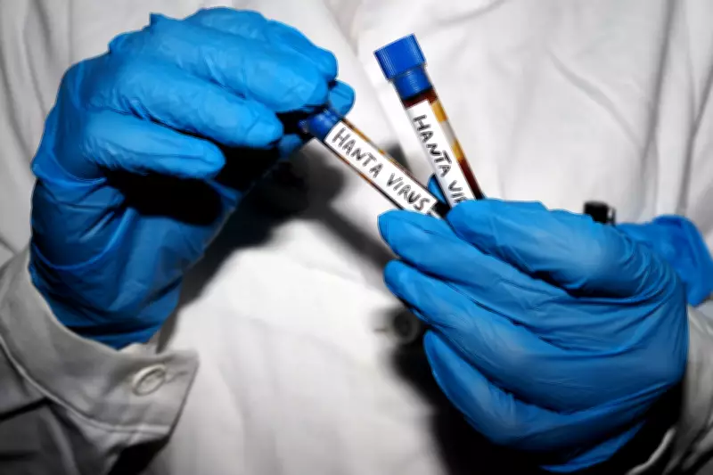 Hantavirus Outbreak to End Sooner If Everyone Does Their Job: Expert