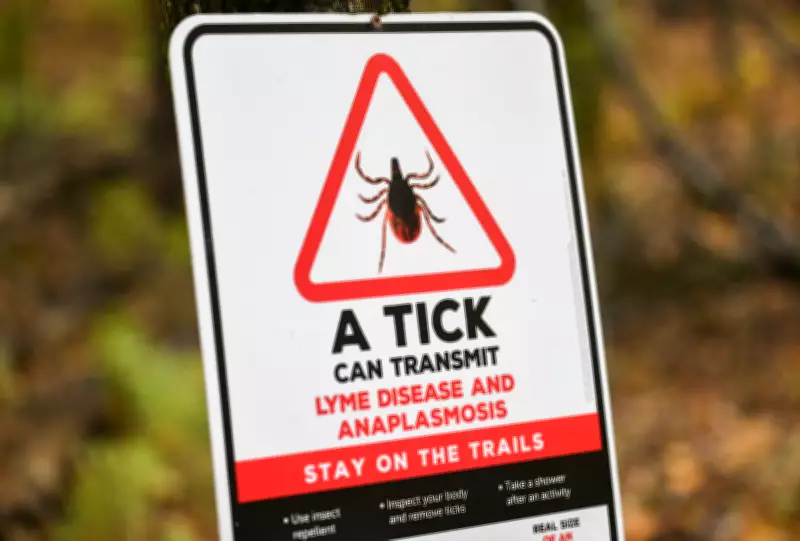 Health Unit Warns of Changing Tick Risks in Simcoe County