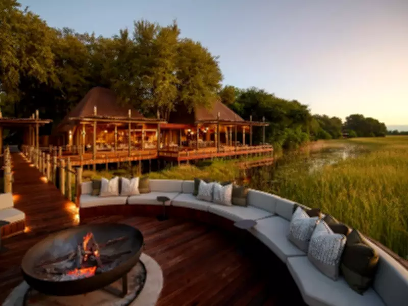Heart-Pounding Wildlife Moments at New Botswana Safari Lodge